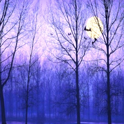 Pretty Faces (feat. hunter) - Single