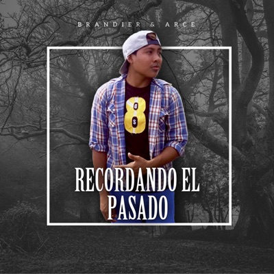 Recordando el Pasado (feat. Arce) - Single