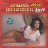 Bailemos Hoy los Éxitos del Ayer (Linea Especial), 1999