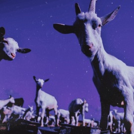 45 Seconds TripSev CT