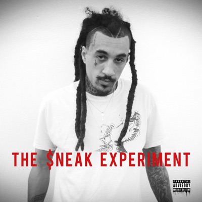 The $neak Experiment