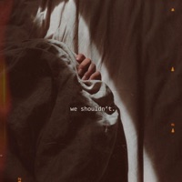 We Shouldn't (feat. LeftLukas) - Single - Laila Zoel & Kubinski