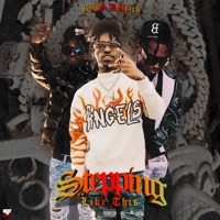 Steppin Like This - Single - BMG Dmack