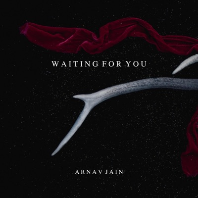 Waiting for You - Single
