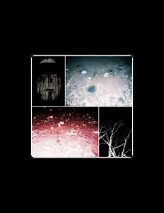 Tectoniku: песни, клипы, биография, даты выступлений и многое другое.