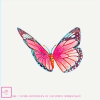 Like Catching Butterflies On a Beautiful Summer Night - Single - MRToon