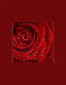 Listen to Speaking Rose, watch music videos, read bio, see tour dates & more!