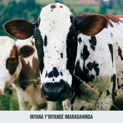 Inyana Y' Inyange Imaragahinda - EP