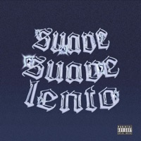 Suave suave lento - Single - Masta Roi & Zully