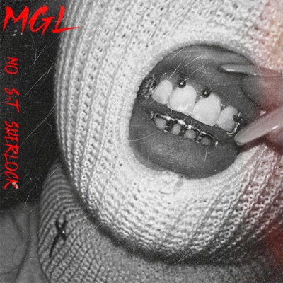 No Shit Sherlock - Single