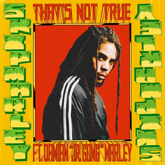 Cover artwork for That's Not True (feat. Damian "Jr. Gong" Marley)