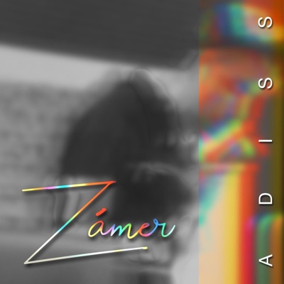 Zámer - Single