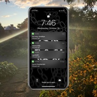 Missed Calls (feat. Adamn Killa, egodeath & David Chamberlain) [Remix] - Single - So Long, Goodbye.