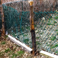 Memphis - Single - H@tten