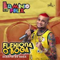 Flexiona o Boga: Desafio do Boga - Single - Erminio Félix