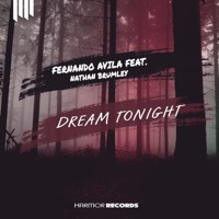 Dream Tonight (feat. Nathan Brumley) - Single - Fernando Avila