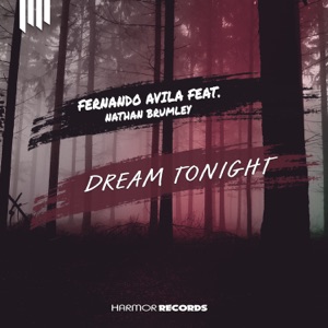 Dream Tonight (feat. Nathan Brumley) - Single