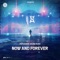 Now and Forever - Refuzion & Sound Rush lyrics