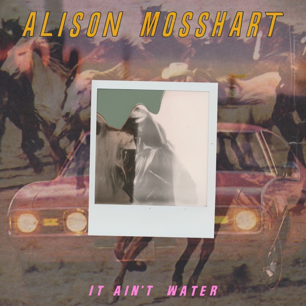 It Ain't Water - Single - Alison Mosshart