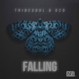 Falling TribeSoul & Dzo