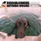 Nothing Wrong - Riddimjunkies lyrics