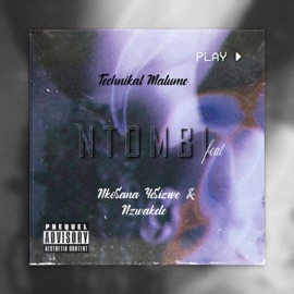 Ntombi (feat. Nkosana-Yesizwe & Nzwakele) Technikal Malume
