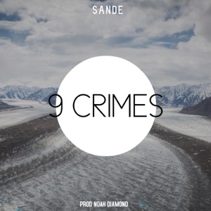 9 Crimes - Single