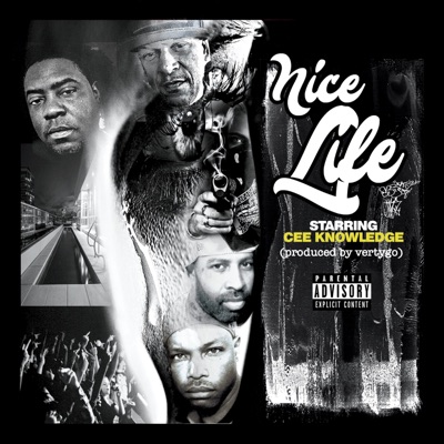 Nice Life (feat. Th3rdegree & Vertygo) - Single