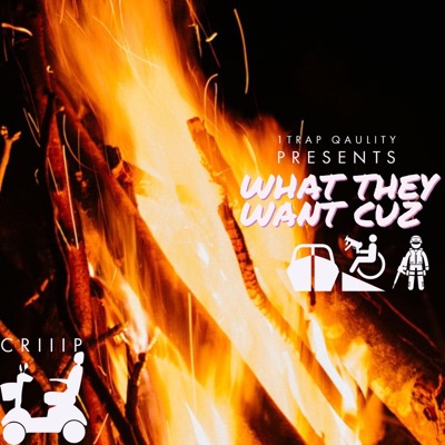 What They Want Cuz - Single