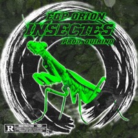 Insectes - Single - Eqp Orion