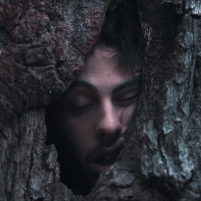 Feel It in the Wind - Single