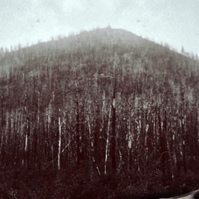 These Days Are in the Past - Single