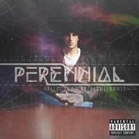 Film for the Right Brain - Perennial