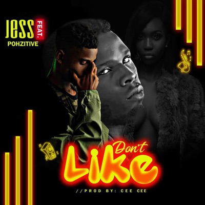Don't Like (feat. Pohzitive) - Single