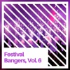 Festival Bangers, Vol. 6