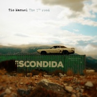 Tio Manuel - Flamingo Blues