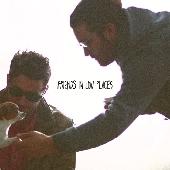 Cover artwork for Friends in Low Places