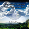 200 Proofs Earth Is Not a Spinning Ball (Unabridged) - Eric Dubay