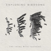 Exploring Birdsong - The Baptism