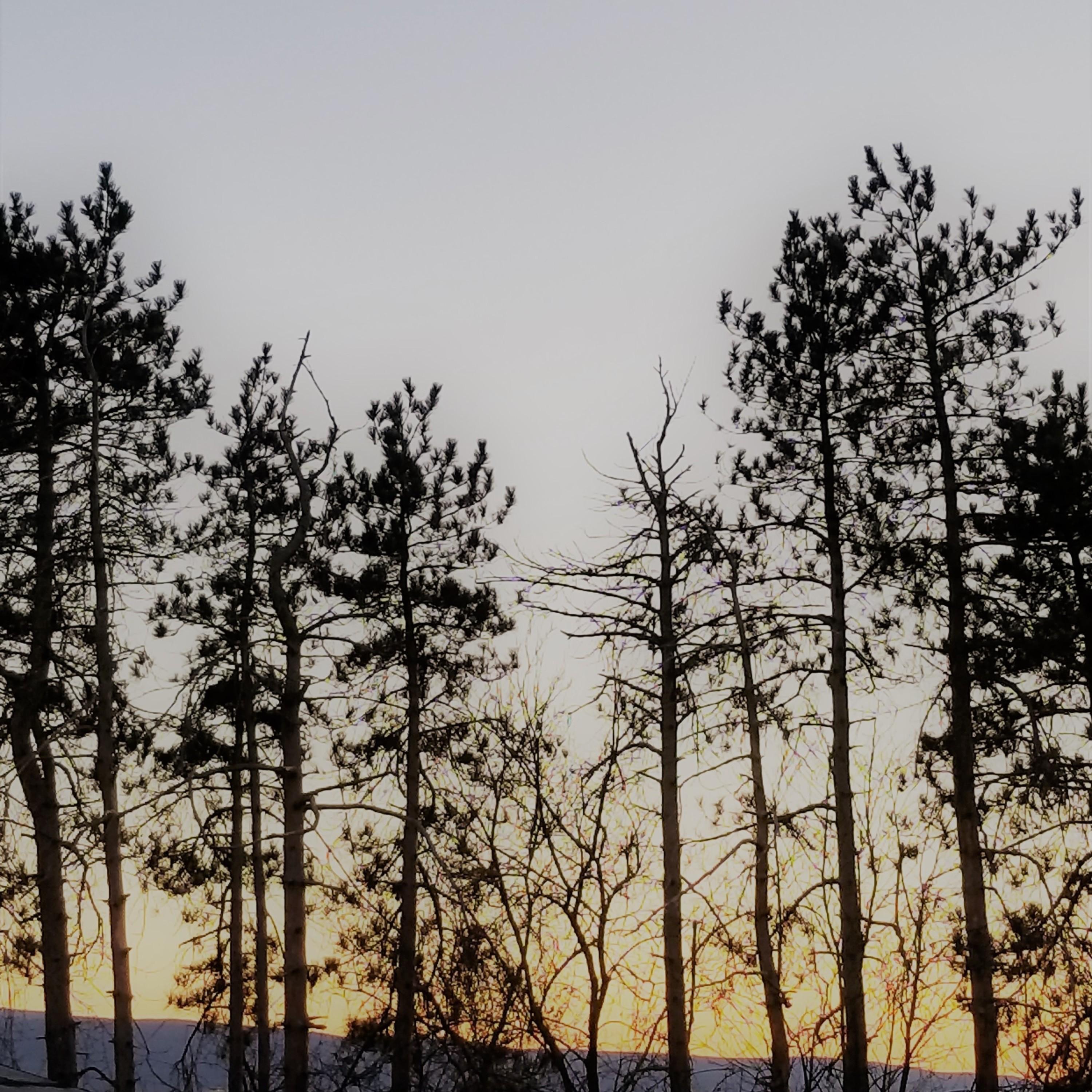 Loosejoxx - stay home