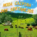 PICARDIA E MALDADE