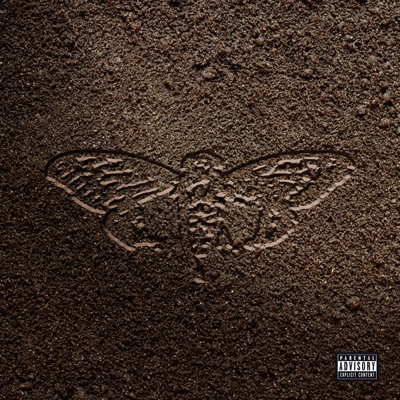 Cicada Underground - EP