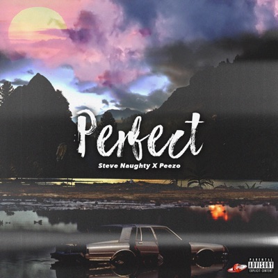 Perfect (feat. Peezo) - Single