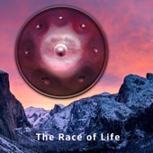 The Race of Life artwork