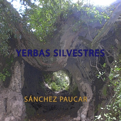 Yerbas silvestres - Single