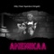 Amenikaa (feat. Nyanda & Singah) - KILLY lyrics