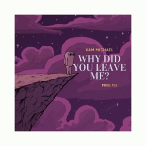 Why did You Leave Me? - Single