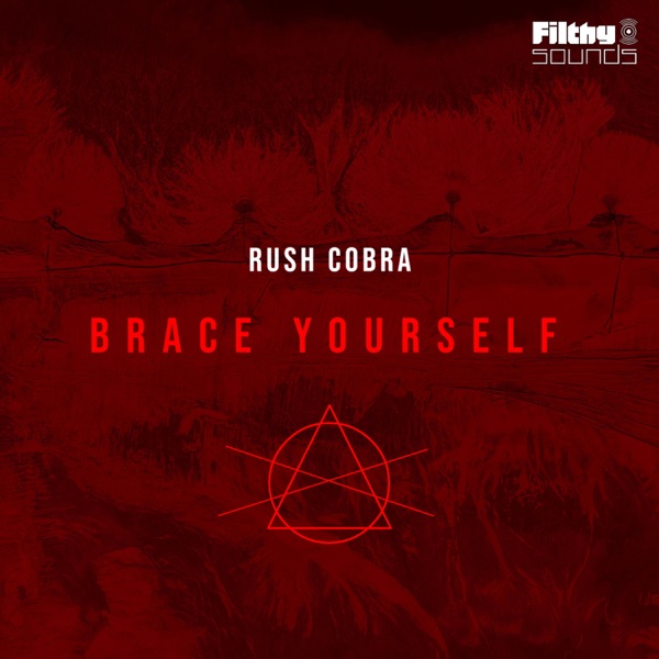 Brace Yourself - Single