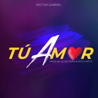 Tú Amor - Single - Héctor Gabriel