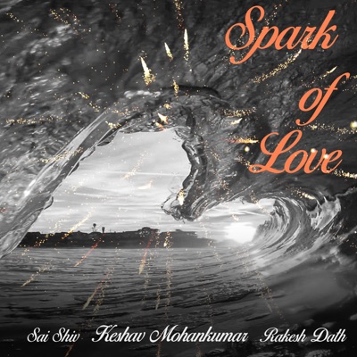 Spark of Love (feat. Rakesh Dath) - Single